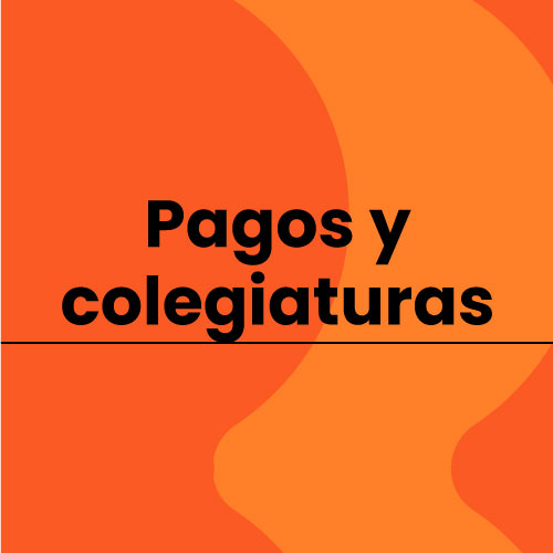 Pagos y colegiaturas UDLAP