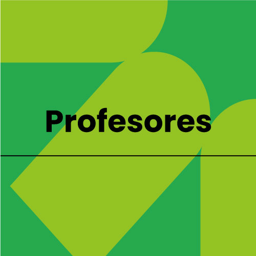 Profesores UDLAP